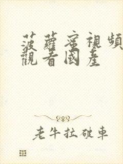 菠萝蜜视频在线观看国产