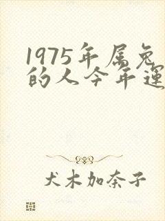 1975年属兔的人今年运气怎么样