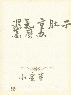 湿气重肚子大该怎么办封面