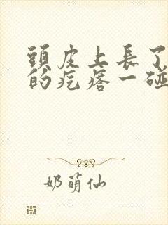 头皮上长了红色的疙瘩一碰就疼封面