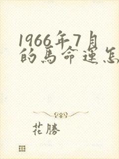 1966年7月的马命运怎么样?