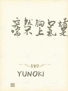 突然胸口堵得慌喘不上气是什么原因封面