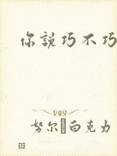 你说巧不巧封面