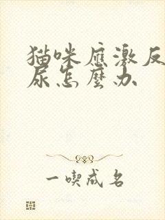 猫咪应激反应闭尿怎么办