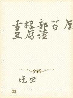 舌根部苔厚白像豆腐渣