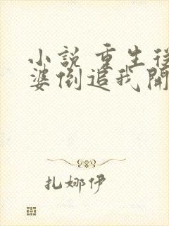 小说 重生从老婆倒追我开始