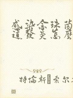 感染念珠菌性阴道发炎怎么治