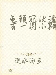 龟头冠状沟周围有一圈小颗粒