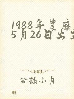 1988年农历5月26日出生人的命运