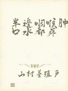 半边咽喉肿痛吞口水都疼封面