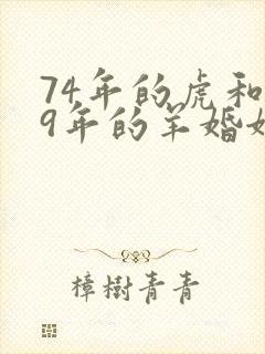 74年的虎和79年的羊婚姻状况