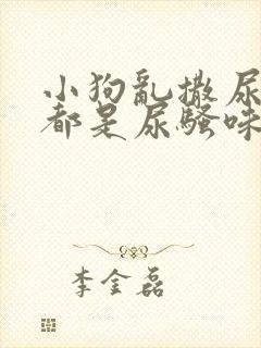 小狗乱撒尿房里都是尿骚味怎么办