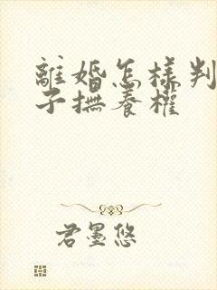 离婚怎样判定孩子抚养权封面