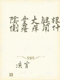 阴囊大腿根部内侧瘙痒用什么药