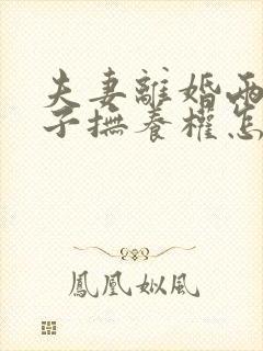 夫妻离婚两个孩子抚养权怎么判定封面