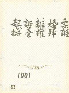 起诉离婚要小孩抚养权归谁封面