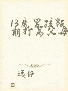 13岁男孩叛逆期打骂父母封面