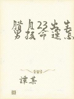 腊月23出生的男孩命运怎么样封面
