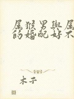 属猴男与属蛇女的婚配好不好封面