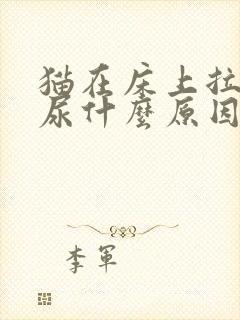 猫在床上拉屎拉尿什么原因封面