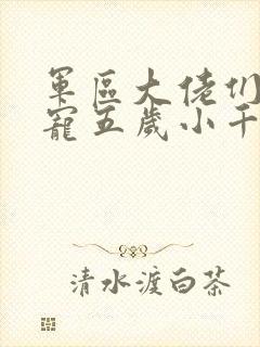 军区大佬们的团宠五岁小千金