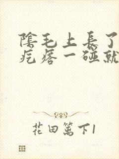 阴毛上长了个硬疙瘩一碰就疼