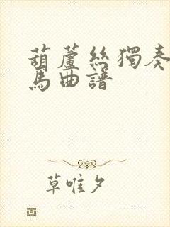 葫芦丝独奏曲赛马曲谱