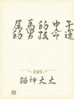 属马的中午出生的男孩命运