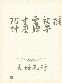 75寸电视推荐什么牌子