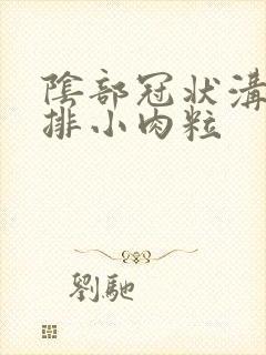 阴部冠状沟有一排小肉粒