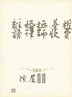 离婚抚养权官司请律师收费