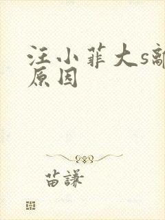 汪小菲大s离婚原因封面