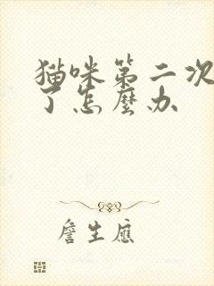 猫咪第二次尿闭了怎么办封面