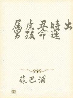 属虎丑时出生的男孩命运