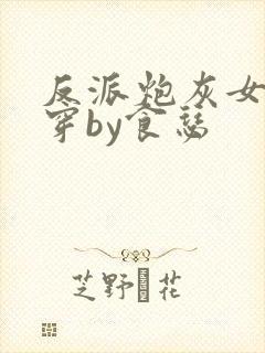 反派炮灰女配快穿by食瑟