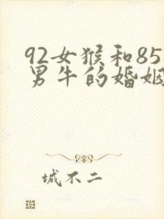 92女猴和85男牛的婚姻如何