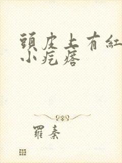 头皮上有红色的小疙瘩