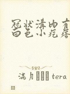 冠状沟内有一排白色小疙瘩