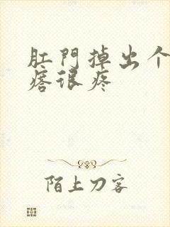 肛门掉出个硬疙瘩很疼封面