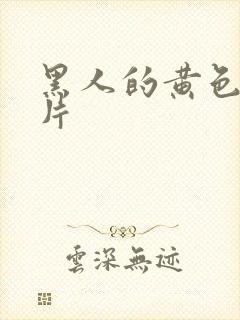 黑人的黄色一级片封面