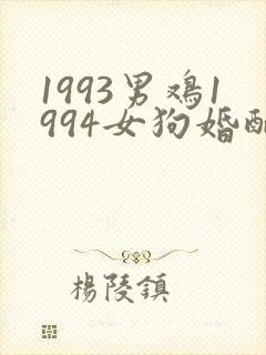 1993男鸡1994女狗婚配如何