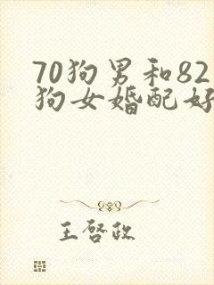 70狗男和82狗女婚配好吗