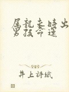 属龙未时出生的男孩命运