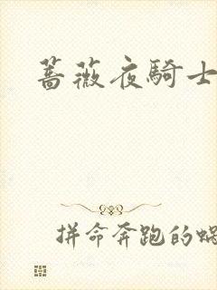 蔷薇夜骑士封面