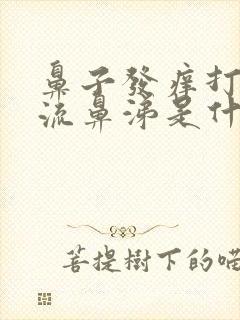 鼻子发痒打喷嚏流鼻涕是什么原因引起的