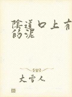 阴道口上有白色的泥封面