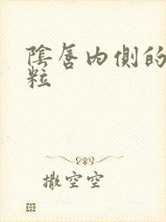 阴唇内侧的小肉粒