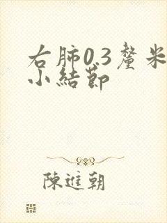 右肺0.3厘米小结节