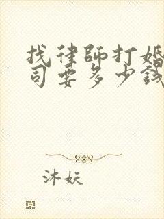 找律师打婚姻官司要多少钱封面