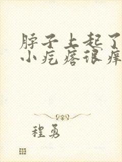 脖子上起了好多小疙瘩很痒痒